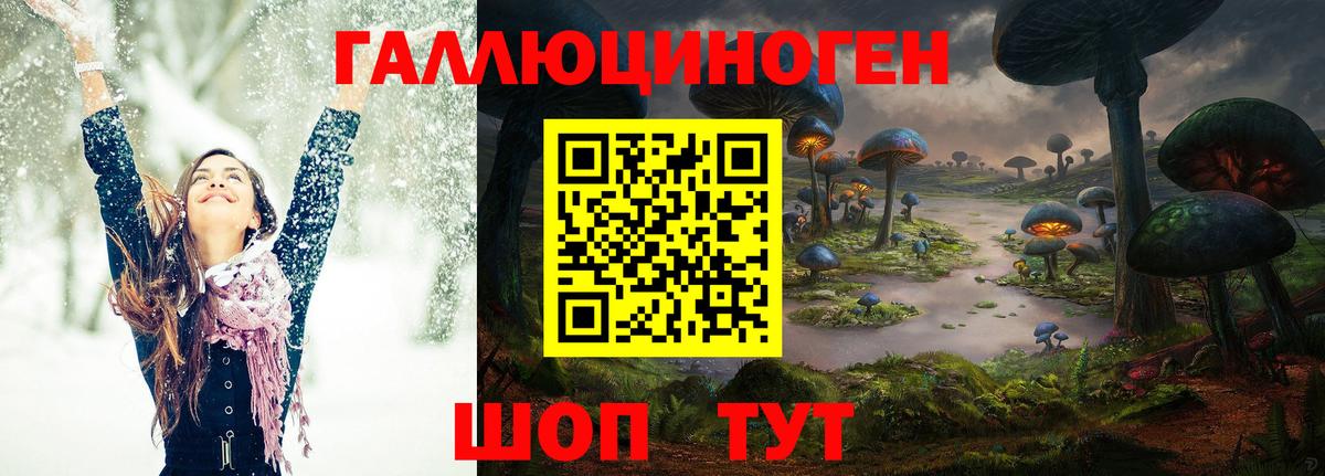 Псилоцибиновые грибы Magic Shrooms  цены наркотик  Зеленогорск  Вход с VPN  Псилоцибиновые грибы ЛСД 
